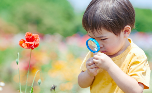 bilingual preschool teaching approach Paris
